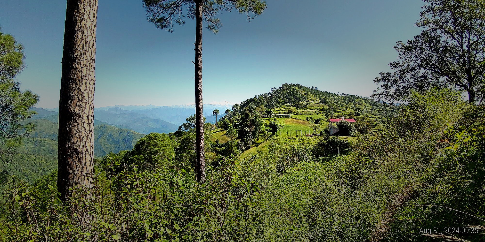 Whispering Pines Retreat with mountain view